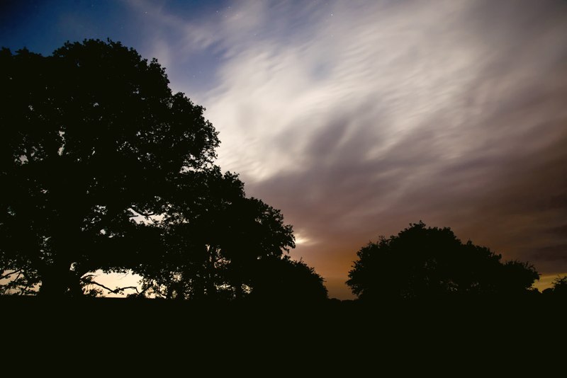  Hidden Moon - T Bradley 