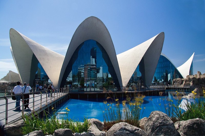  Susan Hall - Oceanografic Valencia 