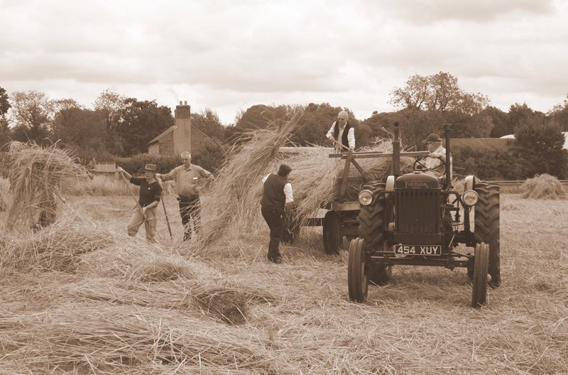  Farming The Old Way - F Chapman 
