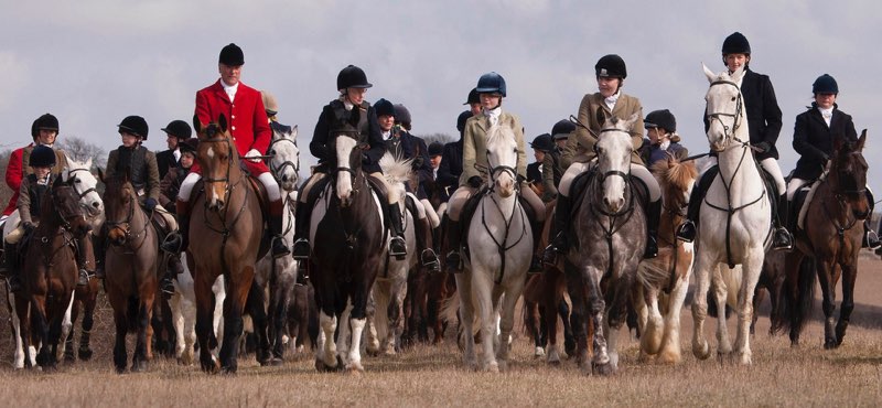  Here come the Hunt - G Olley 