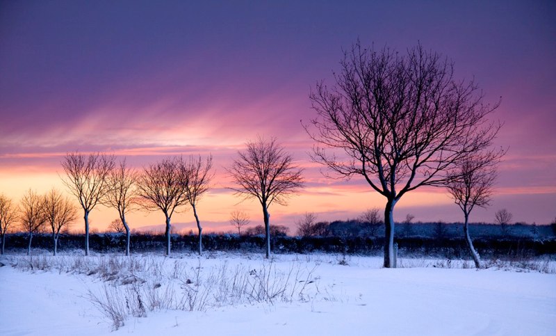  Snow-Sunset - S Hall 