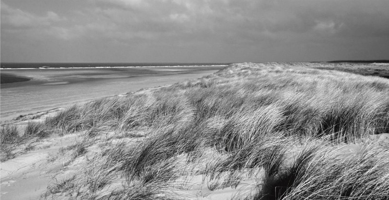  Wells & Burnham Overy Staithe - J Eaton 