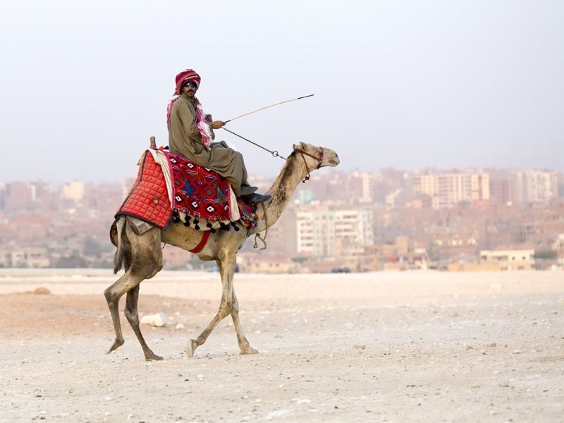  Giza Geezer - S Hall 