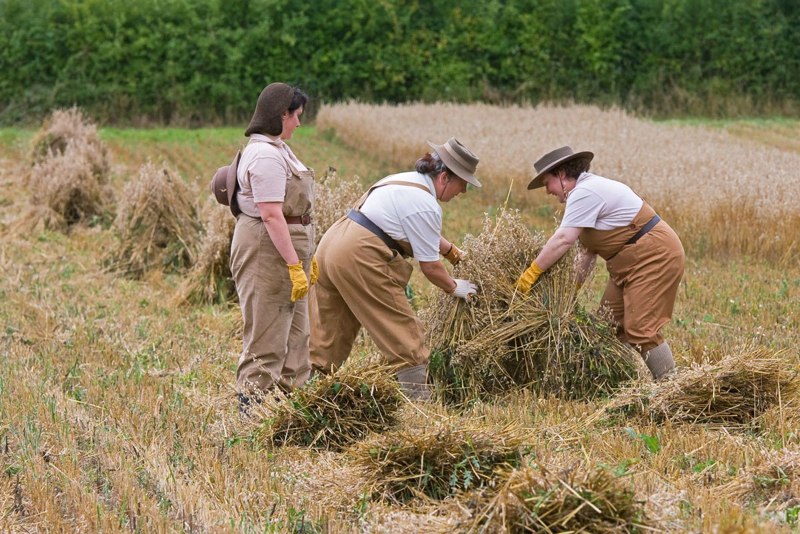  Gathering the Harvest - J Eaton 