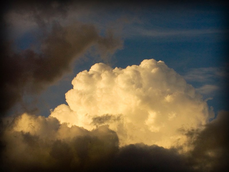  G Olley - Nature's Water Tank 