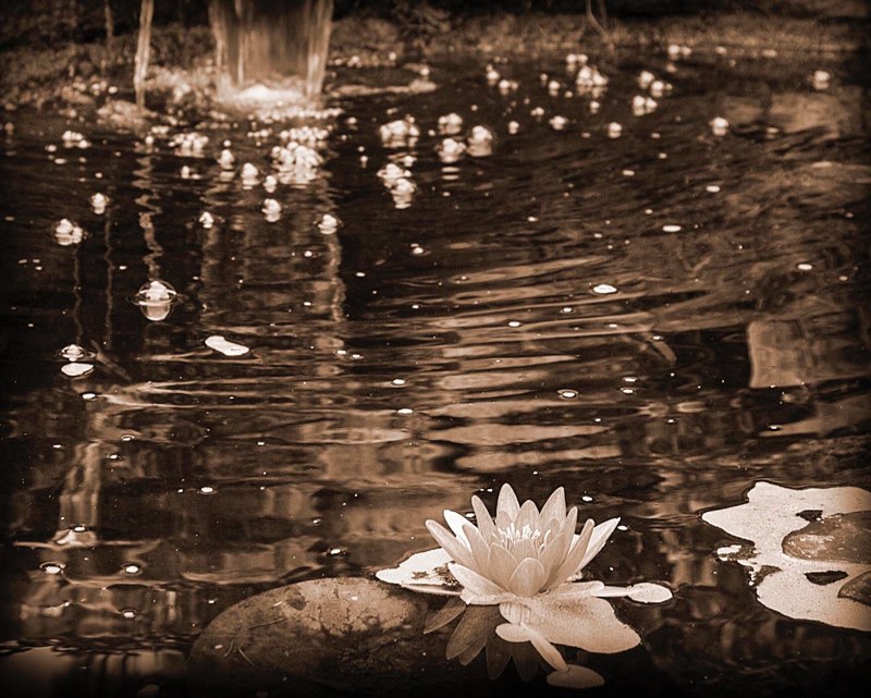  G Olley - Life's a Ripple 