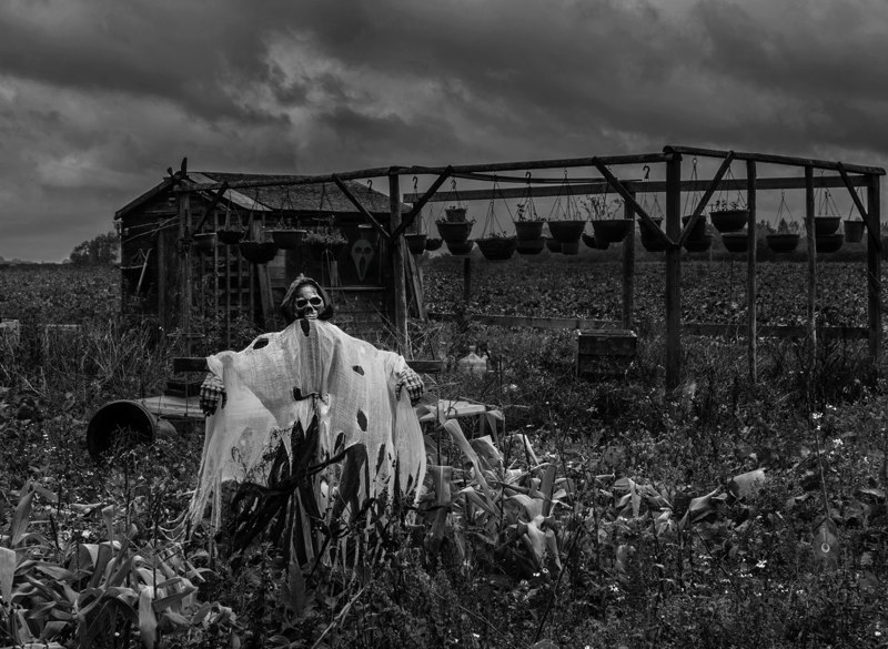  Behind you! - J Eaton 