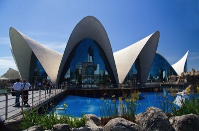  Susan Hall - Oceanografic Valencia 