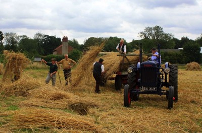  Farming the old way - F Chapman 