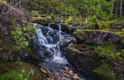  Babbling Brook - Michael Houghton 