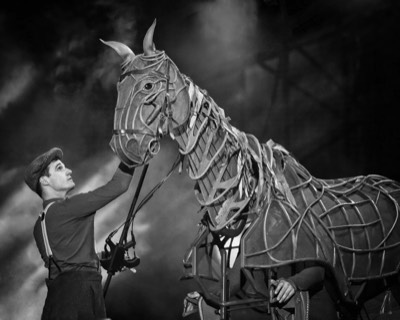  War-Horse - Susan Hall 